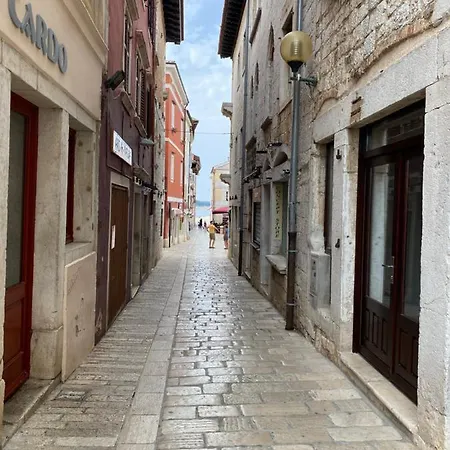 Cardo * Porec